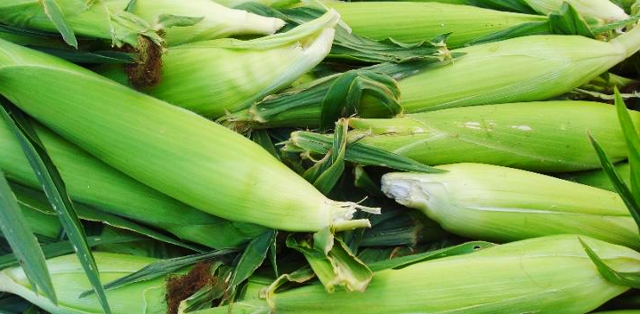 sweet corn