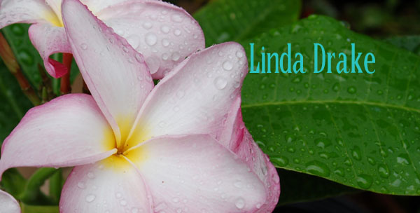 Plumeria Letterhead