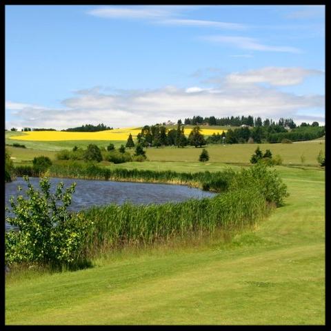 Quail Valley