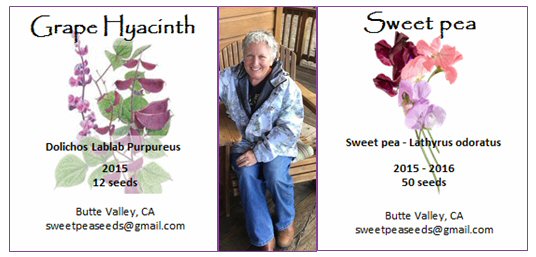 Sweetpea Seeds