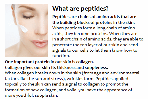 What are Peptides
