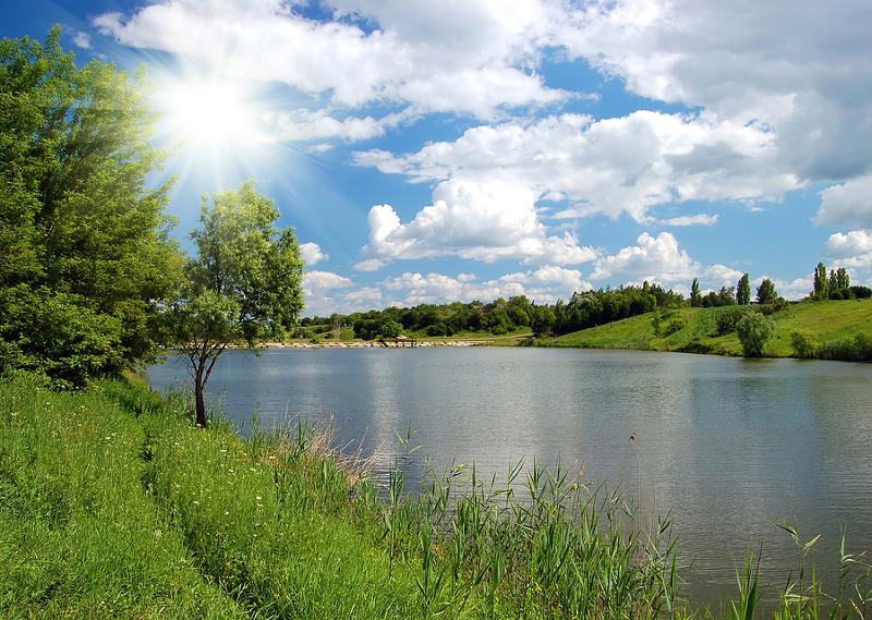 Summer landscape