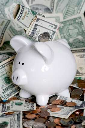 Pig with money in background