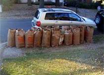 Free Leaf Collection