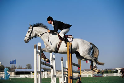 girl-horse-jumping.jpg