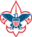 BSA Logo