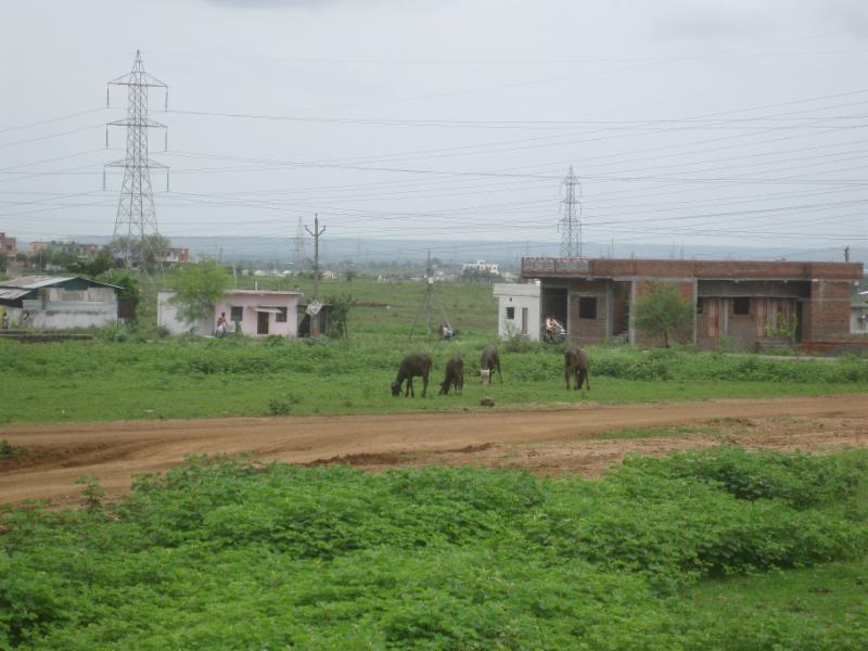 ACCC conductor in India