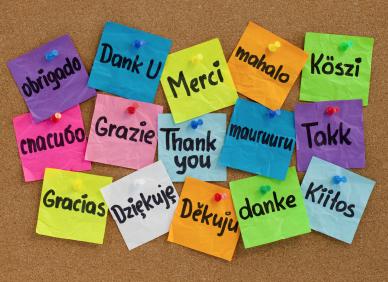 thank you notes