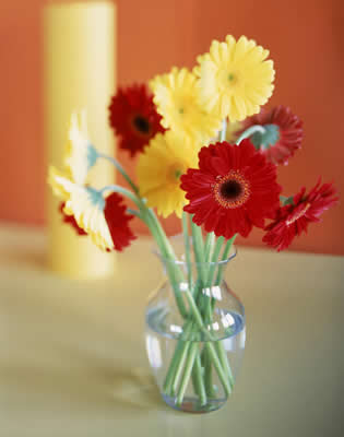 vase-flowers.jpg