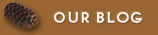 Our Blog