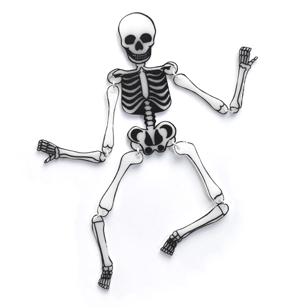 skeleton white