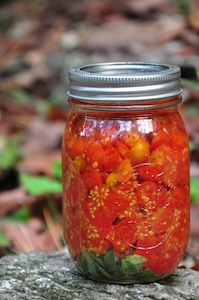 Roasted Tomatoes