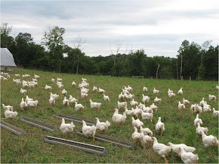 Ledamete Farm