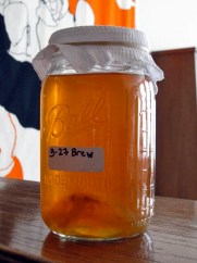 Kombucha