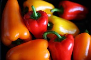Lunchbox mini peppers