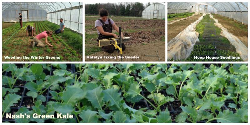 Springtime on the Farm