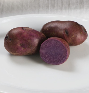 Adirondack Blue Potato
