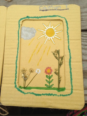 YMCA Farm Camp pressed flowers