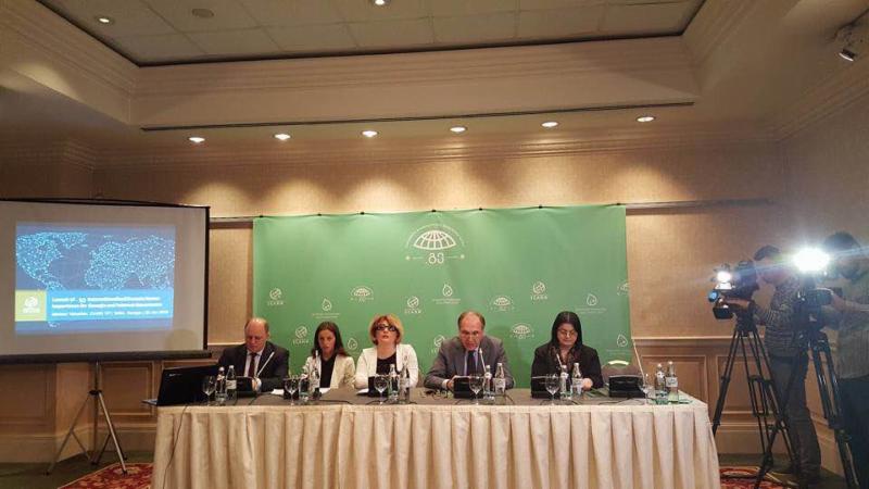 Launch of the Georgia IDN ccTLD