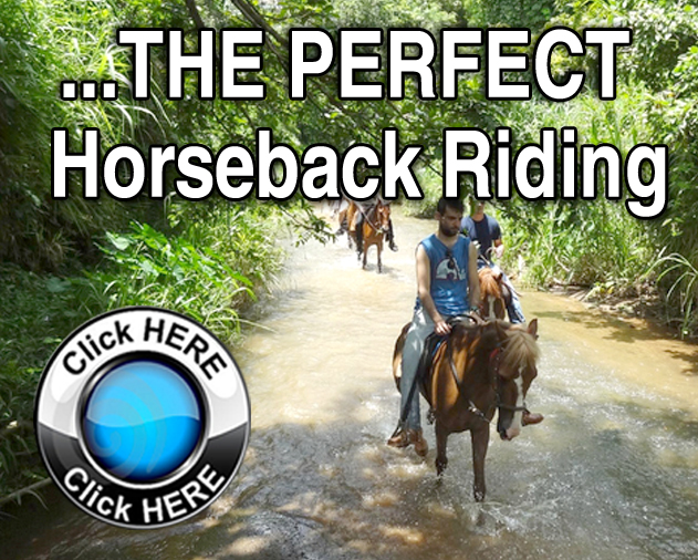 PerfectHorseback