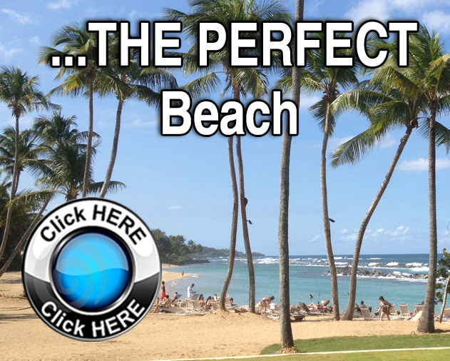 PerfectBeaches