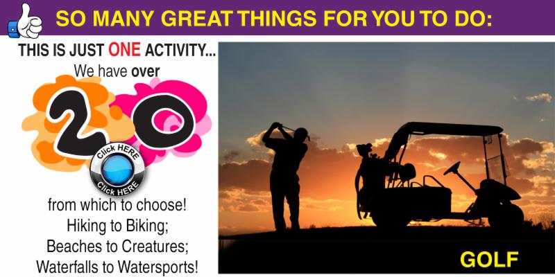 Activities