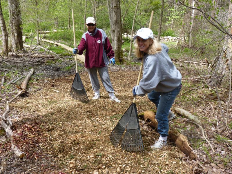 volunteers dd