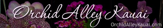 Orchid Alley Kauai