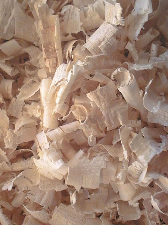 pine shavings