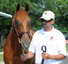 keeneland sale