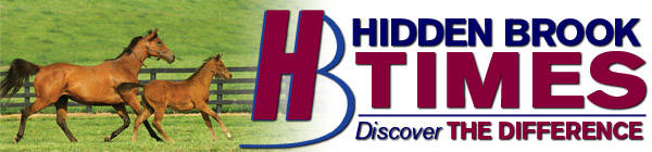 banner4archive