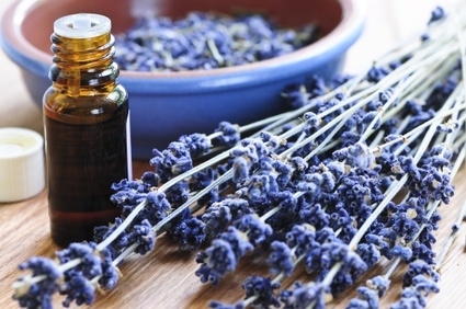 lavander essential oils