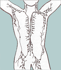 AGreyMeridian