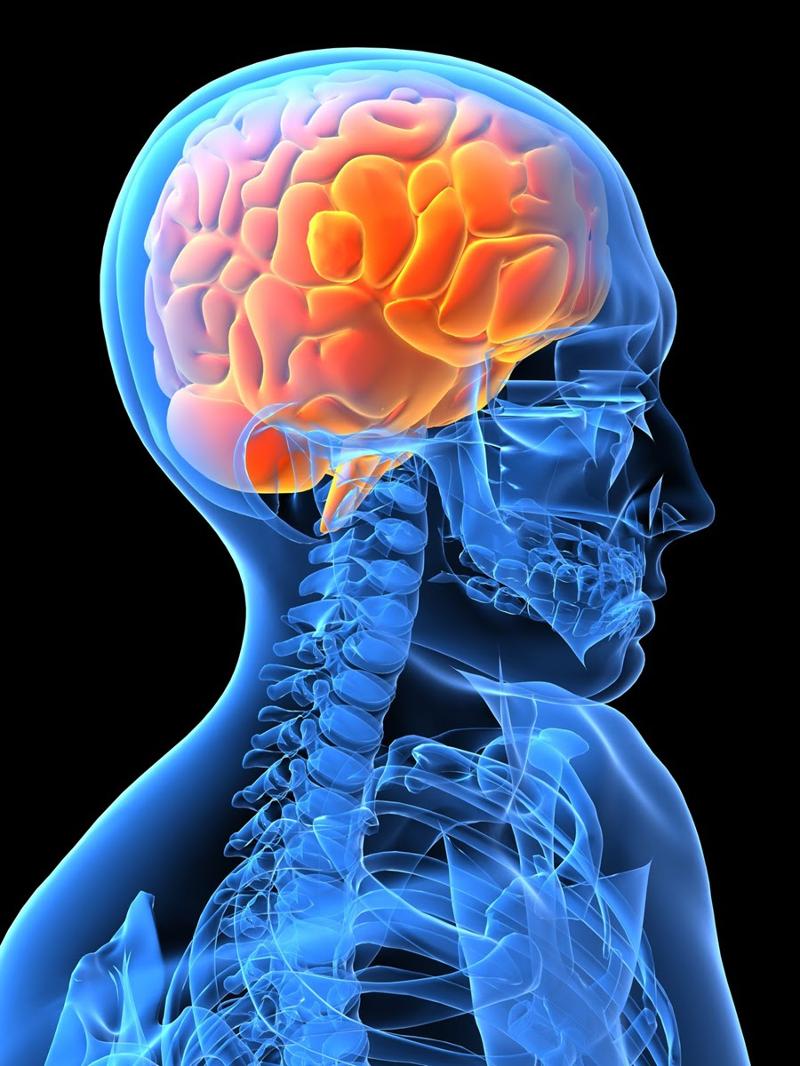 Inside Brain