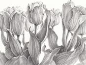 Nehls Flower