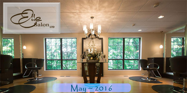 May Elle Salon Newsletter Header