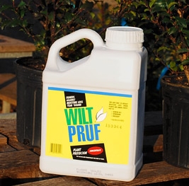 Wilt Pruf