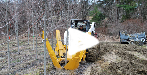Video of digging trees