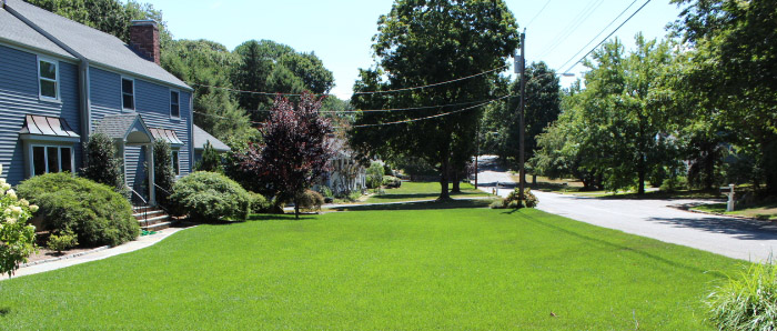 A residential lawn
