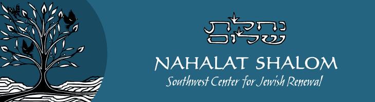 Congregation Nahalat Shalom