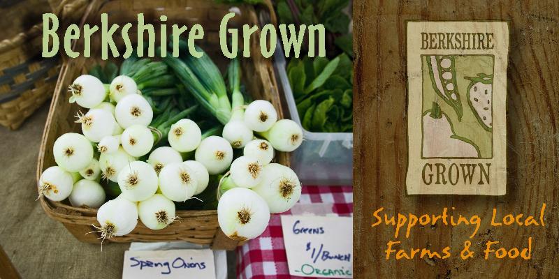 Spring Onion slide