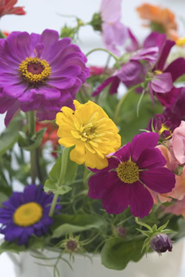 asst-flowers.jpg