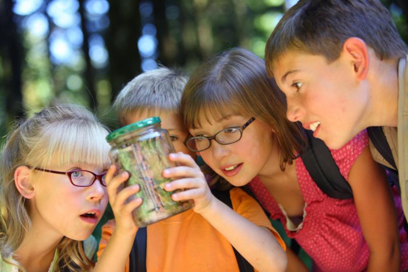kids_bug_in_jar.jpg