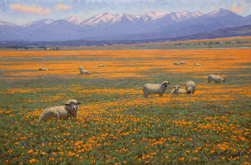 Antelope Valley Aftermoon