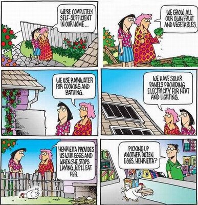 chicken cartoon