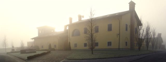 Foggy Morning