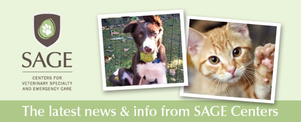 The latest news & info from SAGE Centers