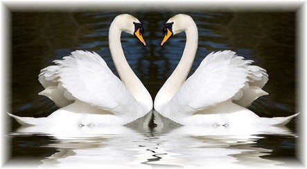 Every Encounter is Holy