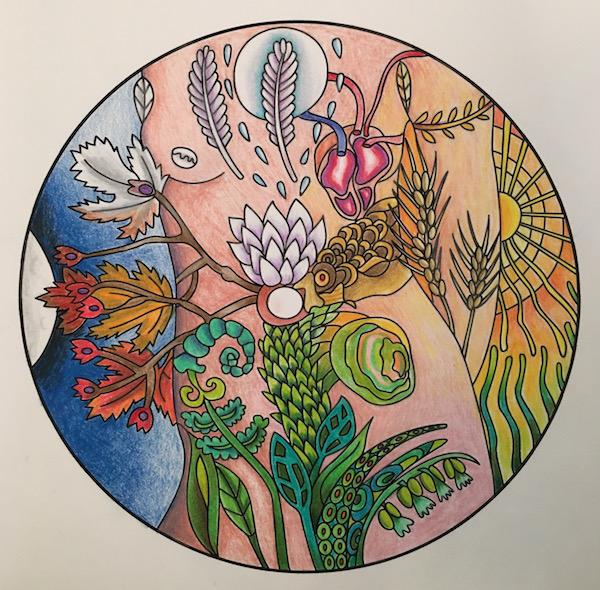 adult coloring book available
