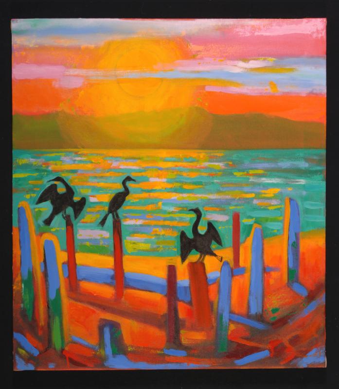 Cormorants by Craig Spencer